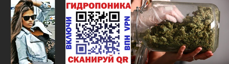 дарнет шоп  Химки  omg зеркало  Шишки марихуана планчик 